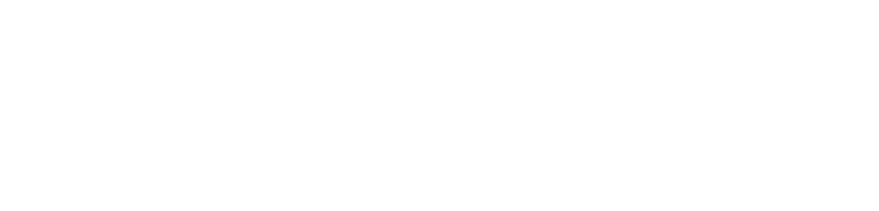 Bora Trocar